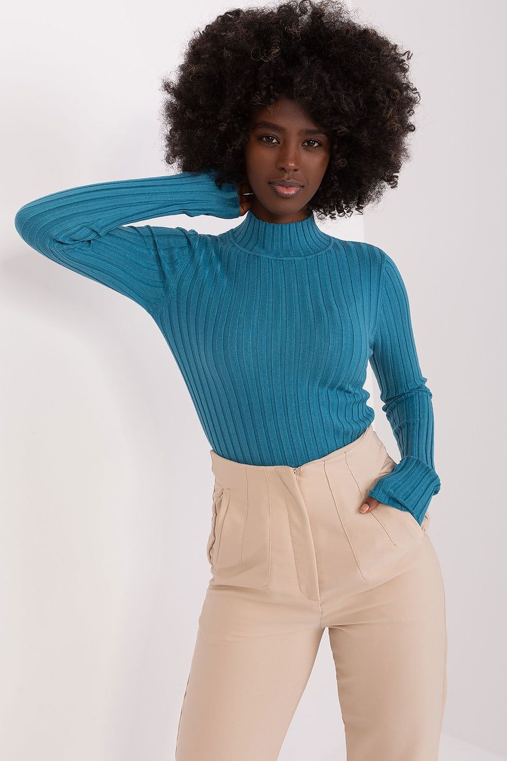 Ribbed turtleneck