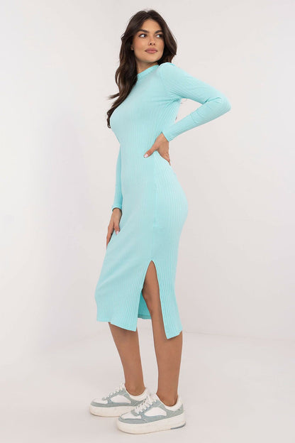 Basic fitted midi dress