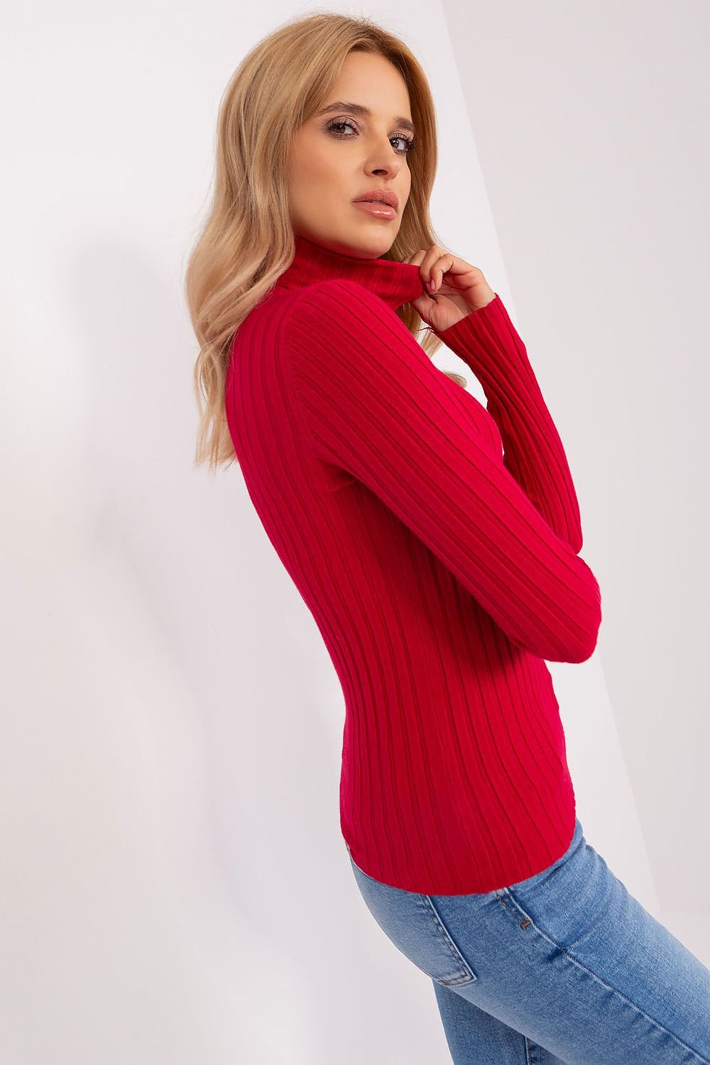 Basic ribbed turtleneck