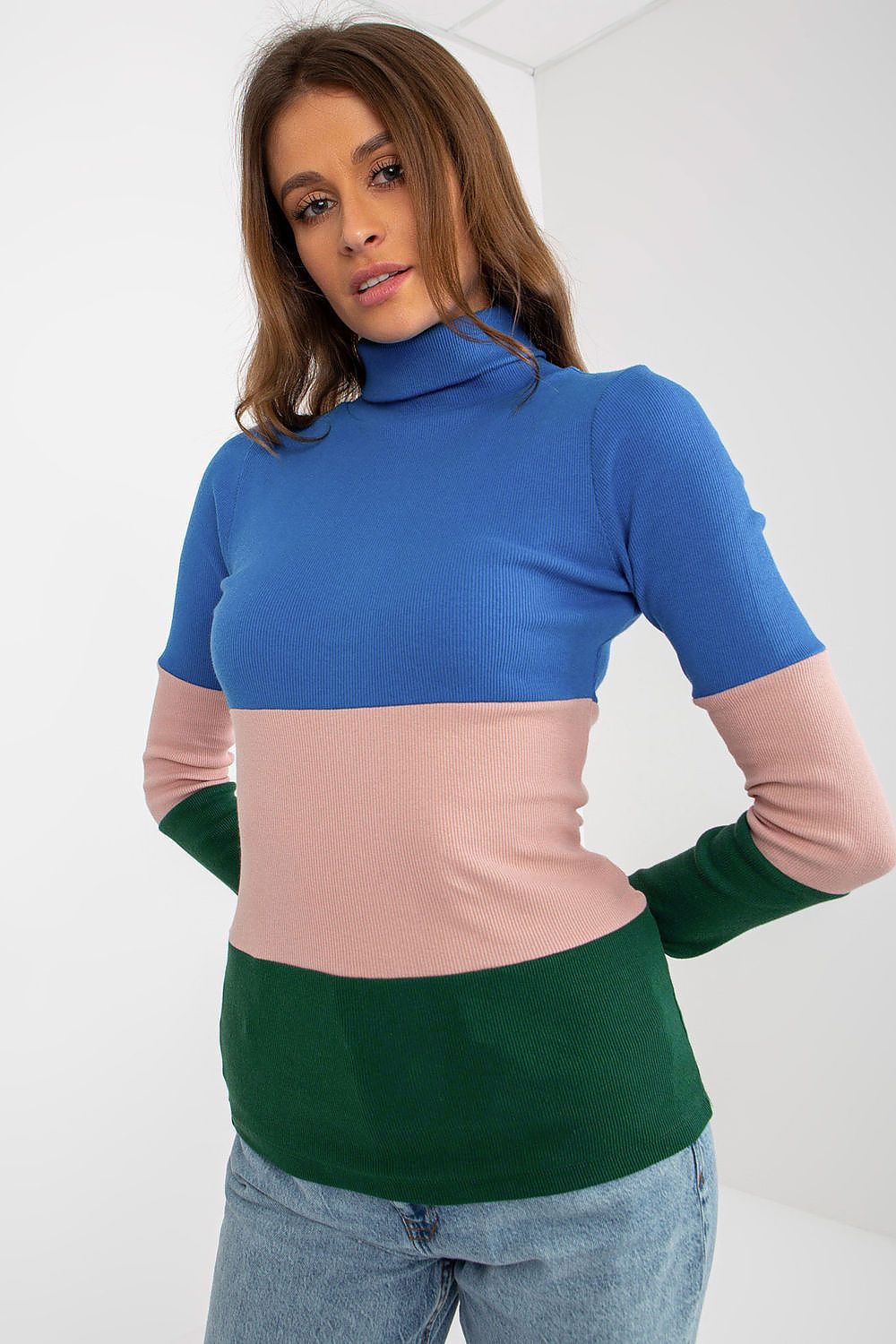 Colorblock turtleneck