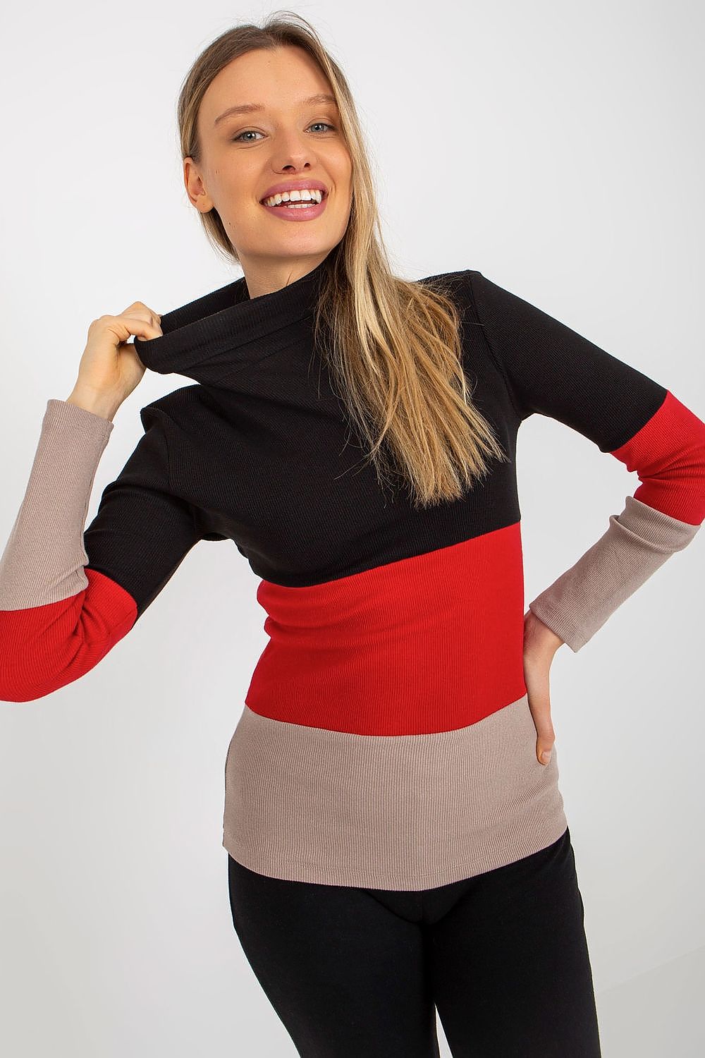 Colorblock turtleneck