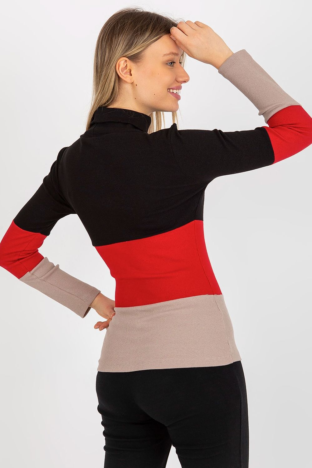 Colorblock turtleneck