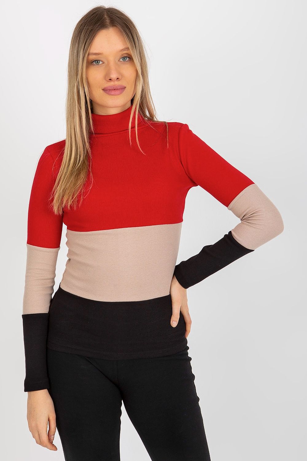 Colorblock turtleneck