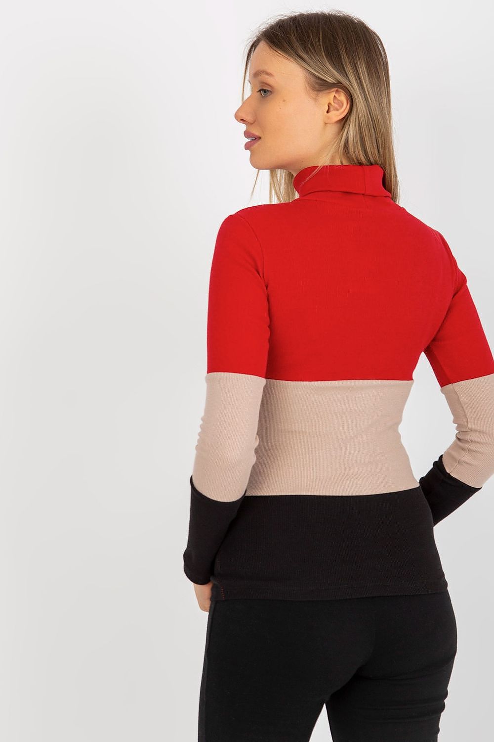 Colorblock turtleneck