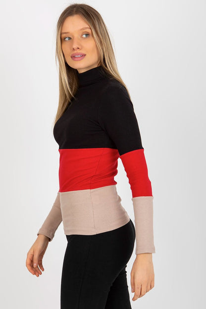 Colorblock turtleneck