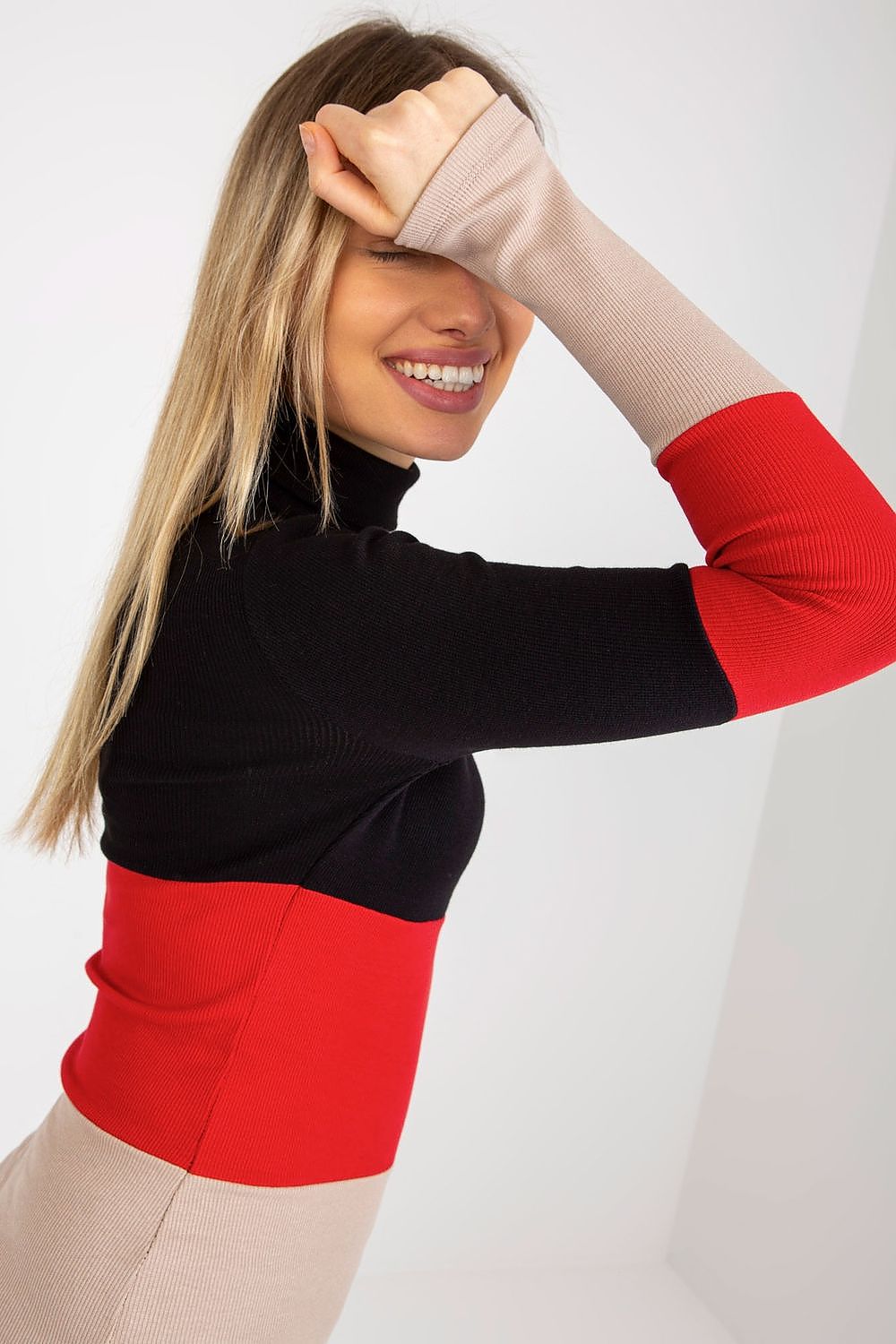 Colorblock turtleneck