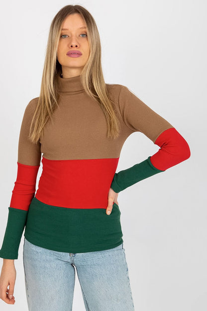 Colorblock turtleneck