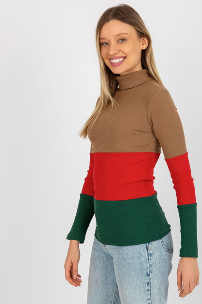 Colorblock turtleneck