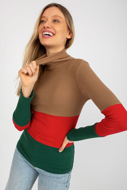 Colorblock turtleneck