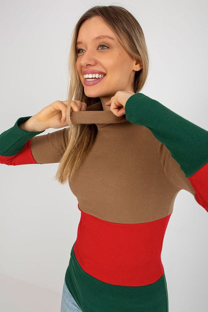 Colorblock turtleneck