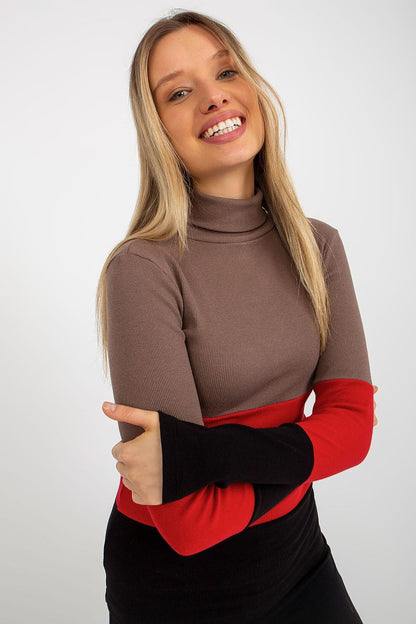 Colorblock turtleneck