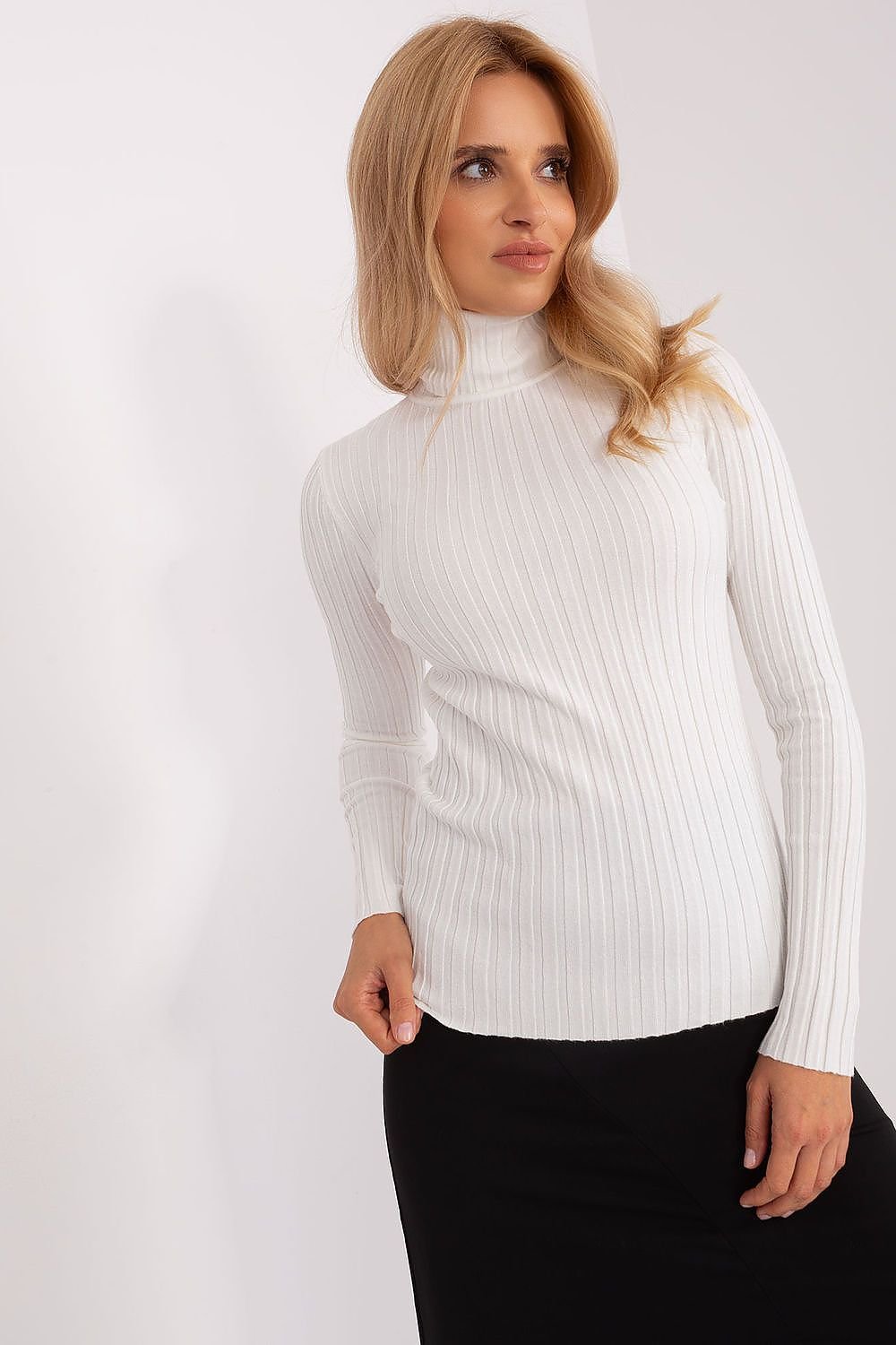 Basic ribbed turtleneck